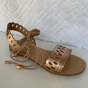 Jack Rogers Ruby Sandal in Rose Gold